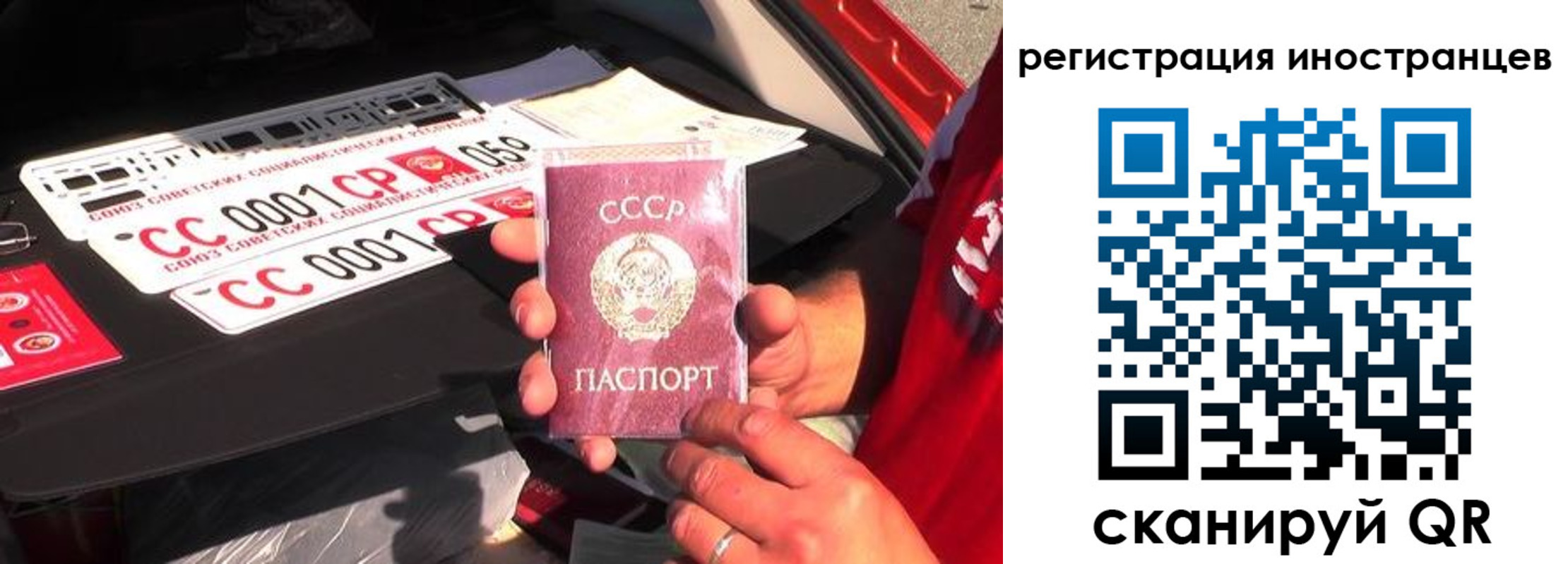 прописка гарантия в Белгородской области